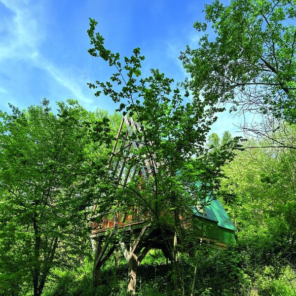 La Matriochka et le noisetier