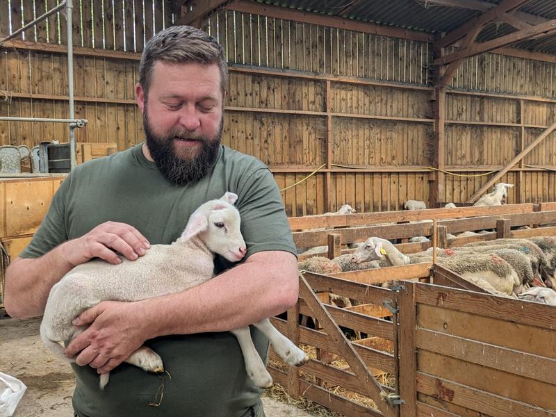 Léleveur tenant un agneau dans ses bras