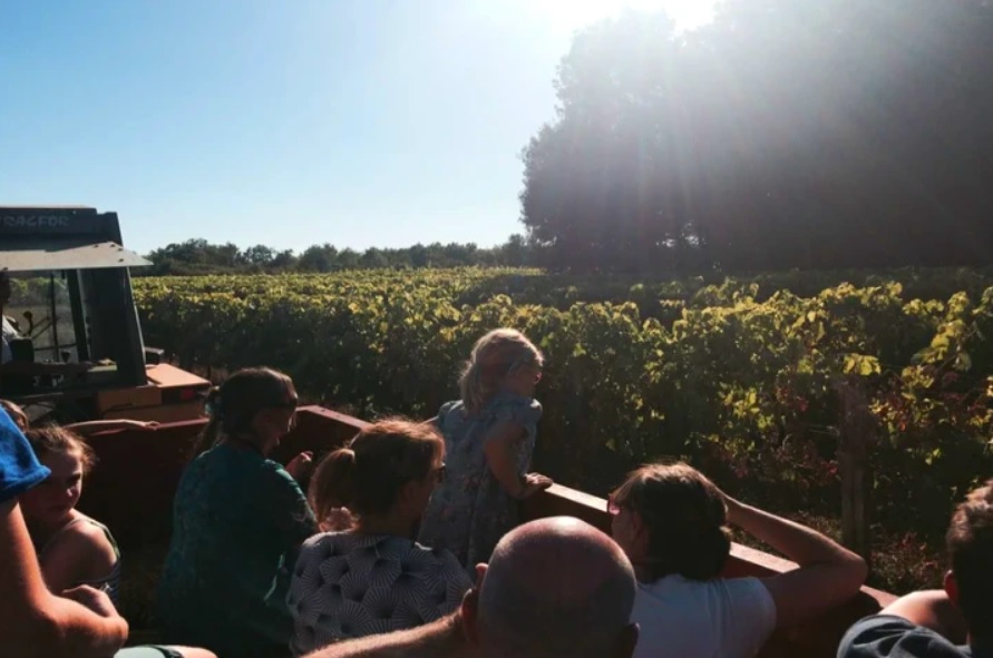 Visite de vignoble et balade en tracteur