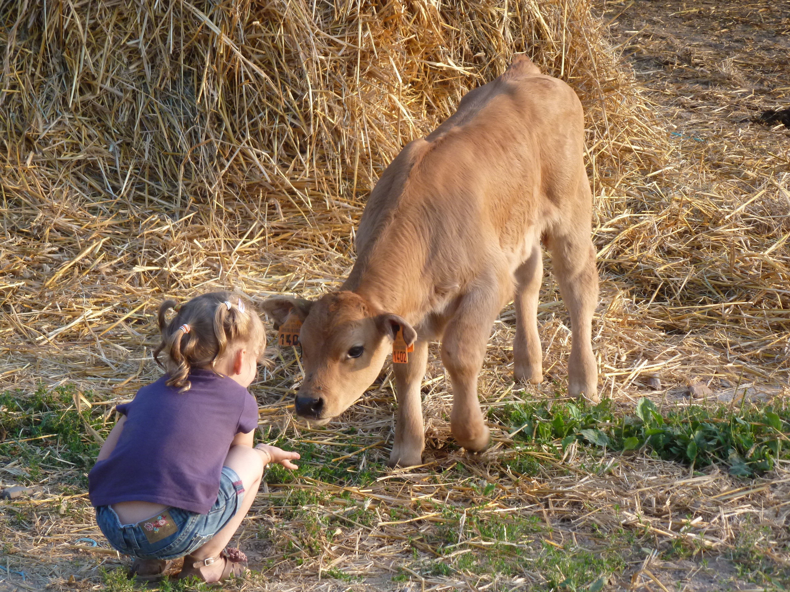 Ferme des Bourettes