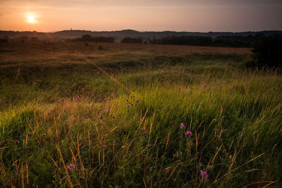 Animation nature sur les ENS : balade contée au crépuscule_Optevoz-Balcons du Dauphiné