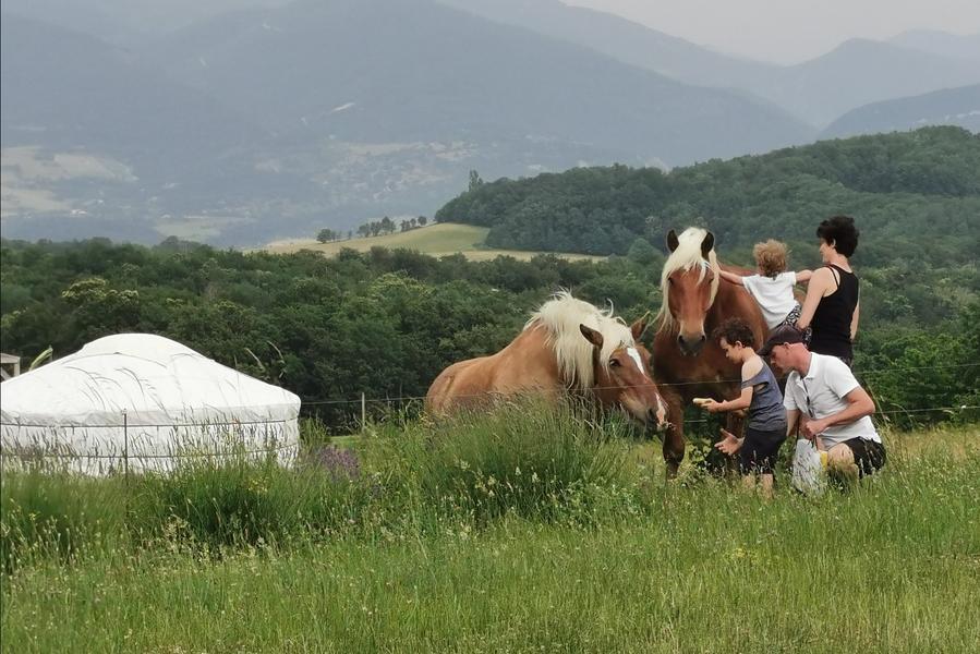 famille, chevaux et yourte