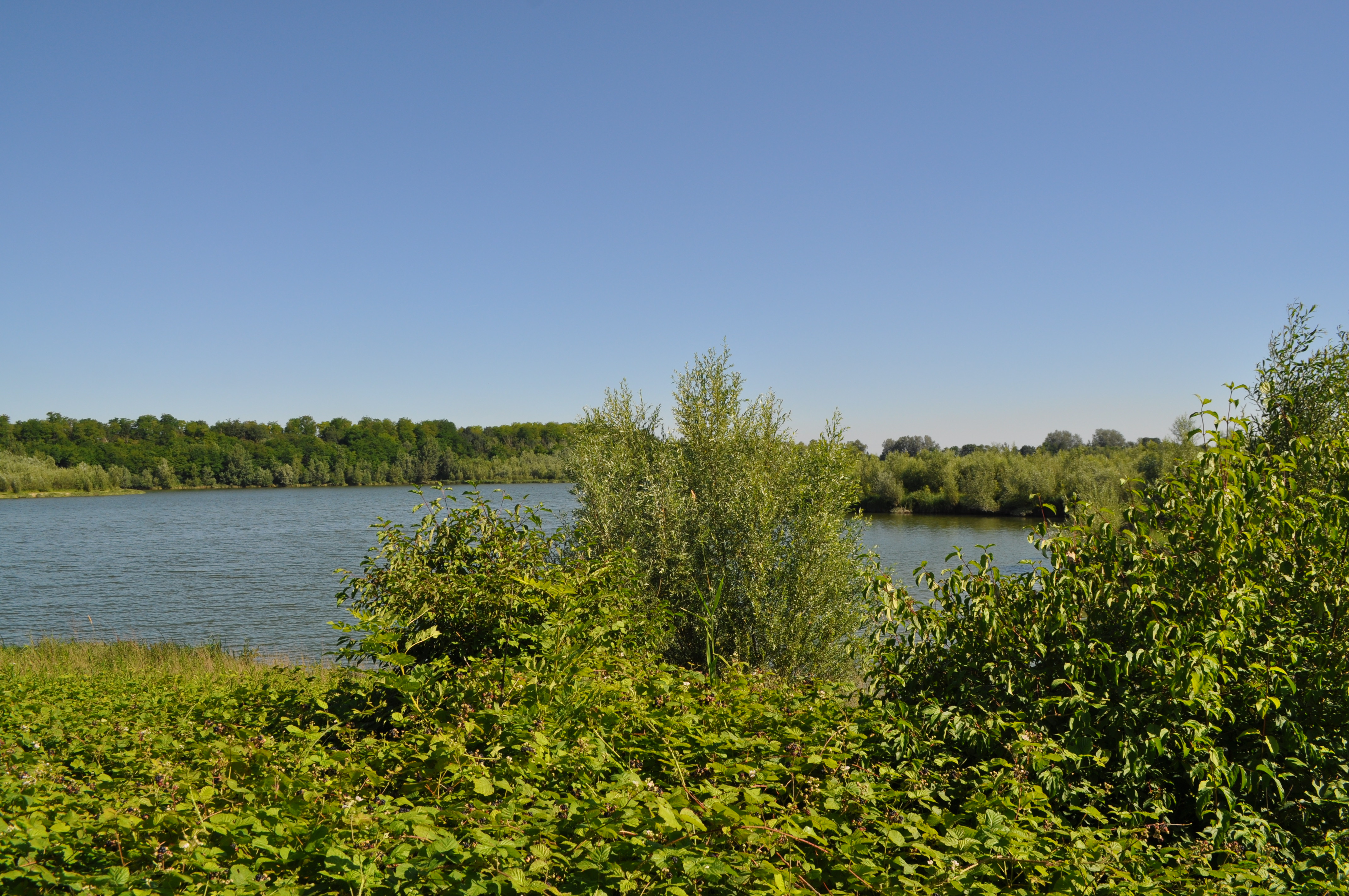 Lône du Val de Saône