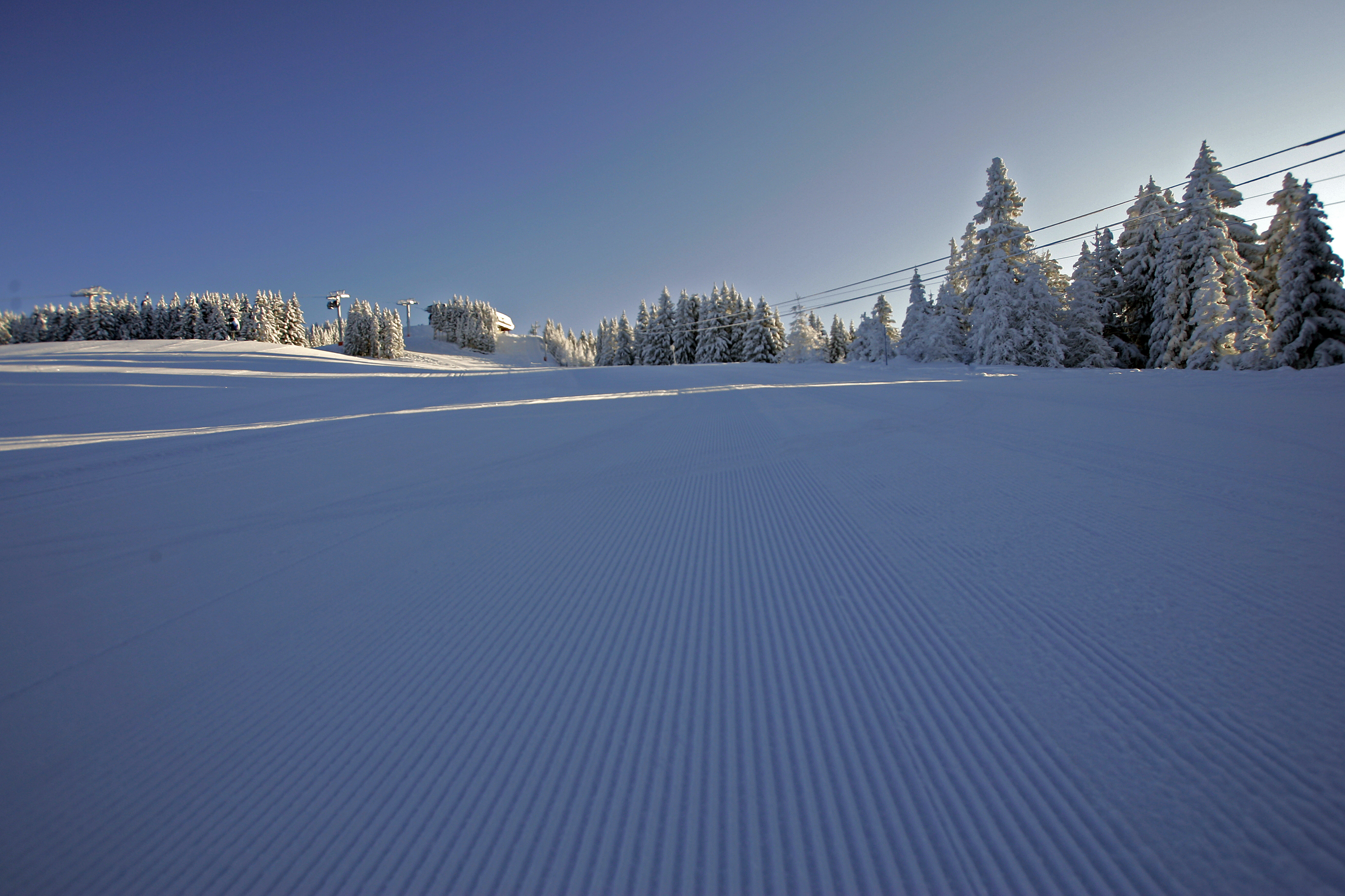 Piste dammée