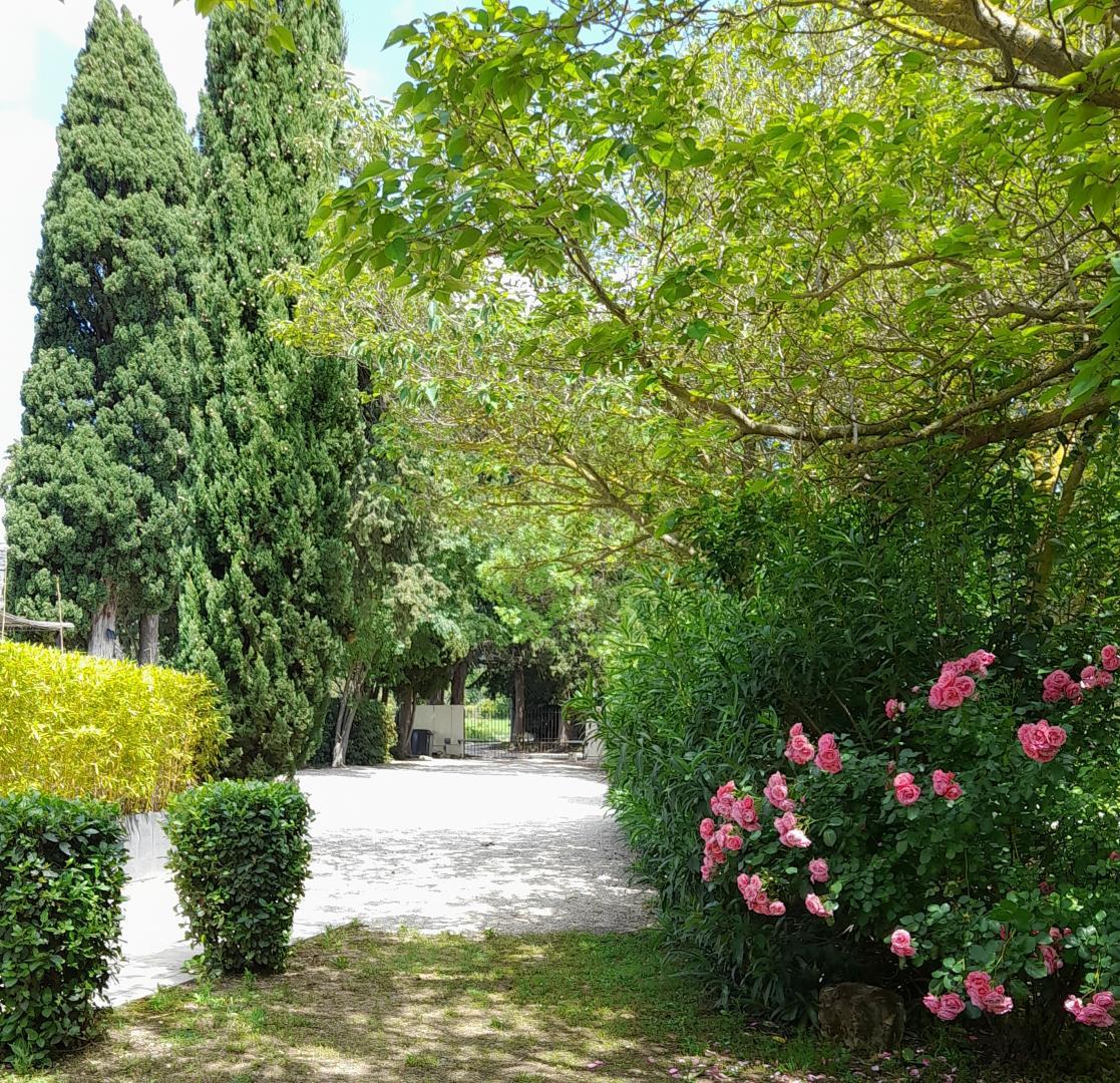 Le Mas des Vergers, Salon-de-Provence - photo 2