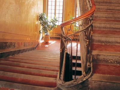 Hôtel de Carcès — photo 3