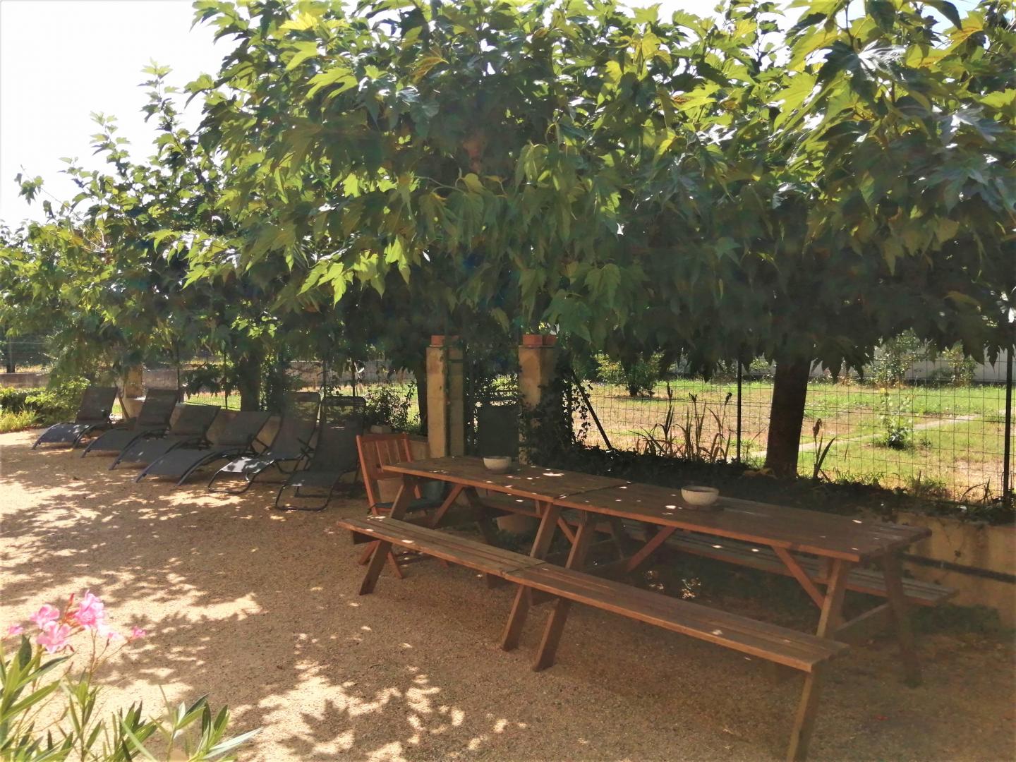 Villa Robel - photo 5