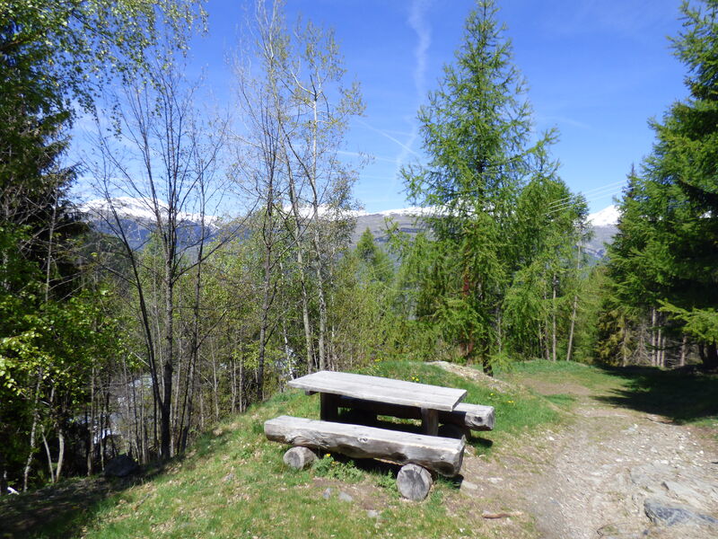 Tour du bois de l'église de Peisey