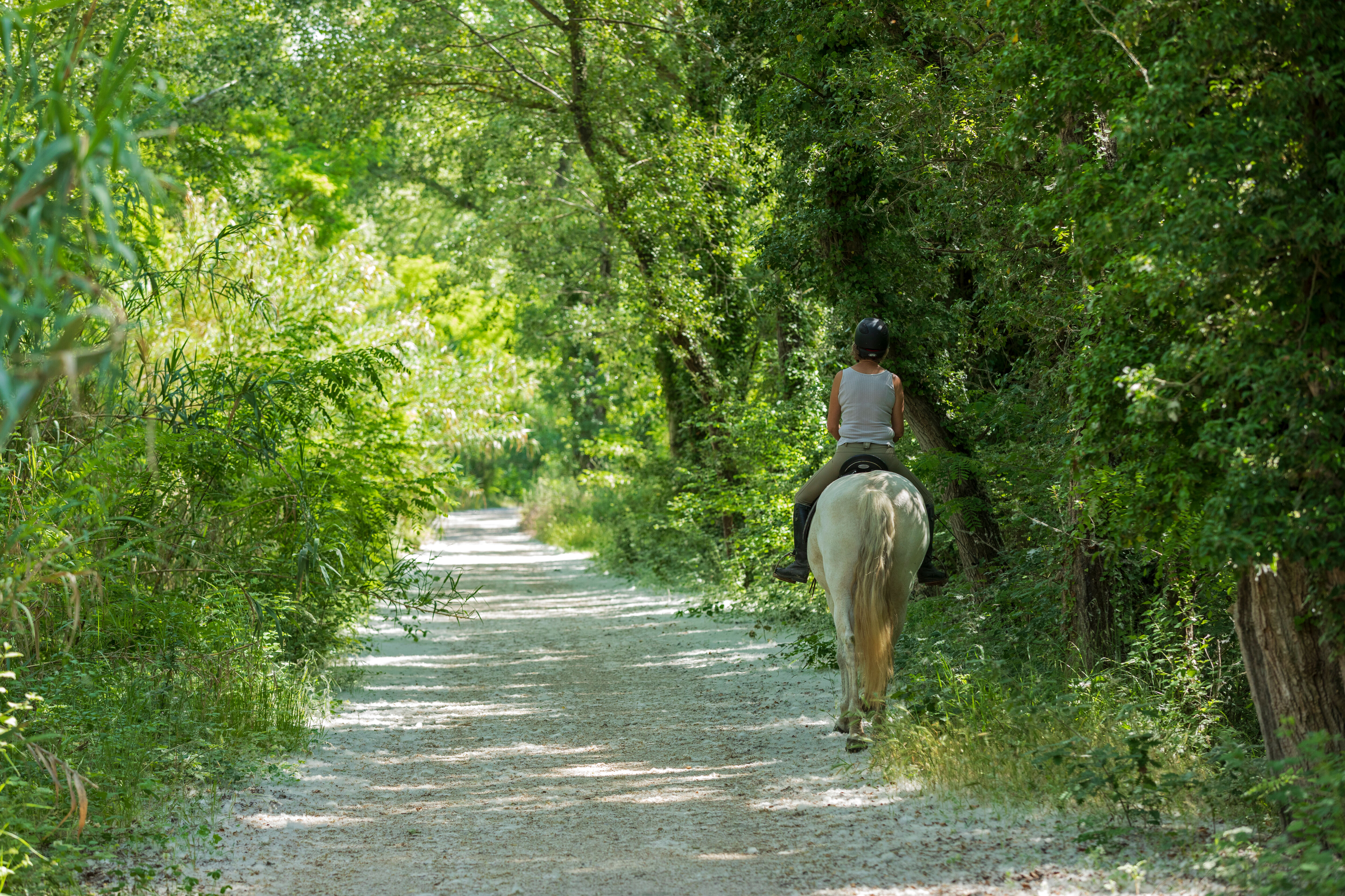 Véloroute Vers la Durance à vélo : Tronçon Mallemort - La Roque d'Anthéron , Mallemort - photo 5