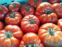La Ferme des Grenouilles - Villeneuve-Loubet