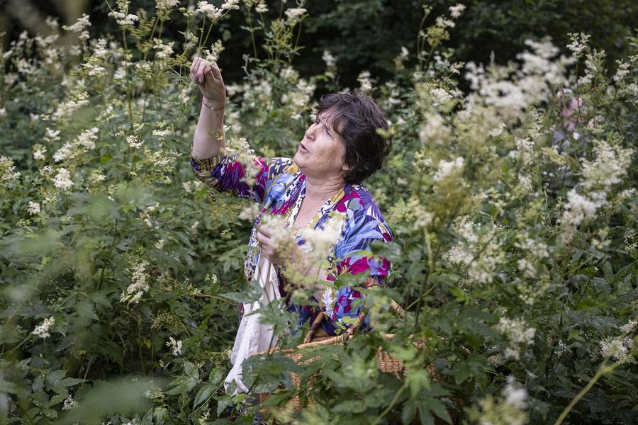 La boite à mélisse