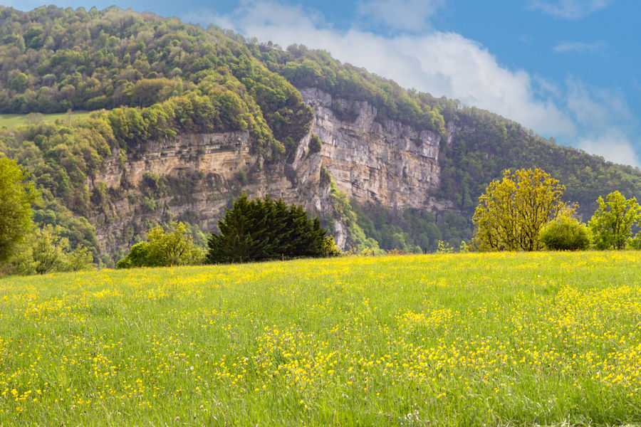 Paysage village Oncieu