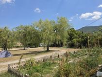 Camping Bourbon - La Palud-sur-Verdon - Photo 22