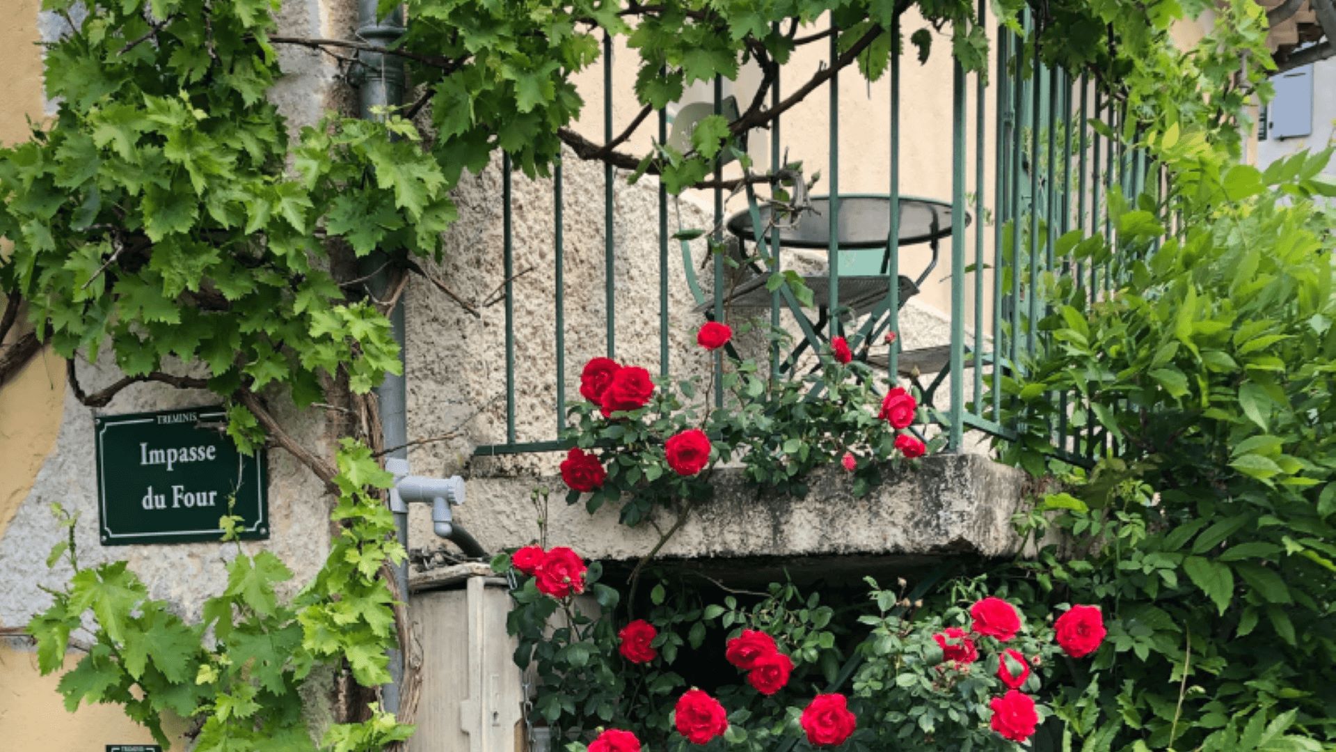 roses sur le balcon