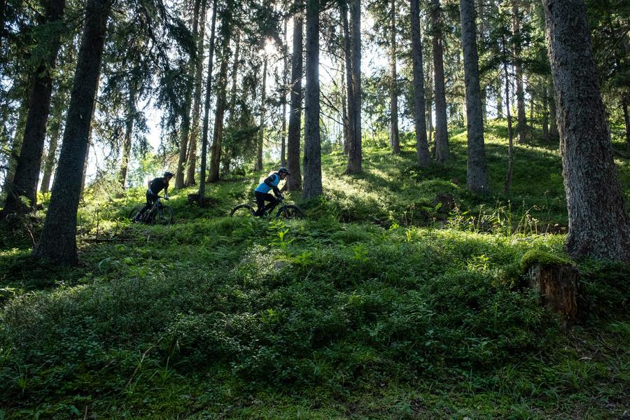 Site VTT FFC Arêches-Beaufort._Arêches-Beaufort