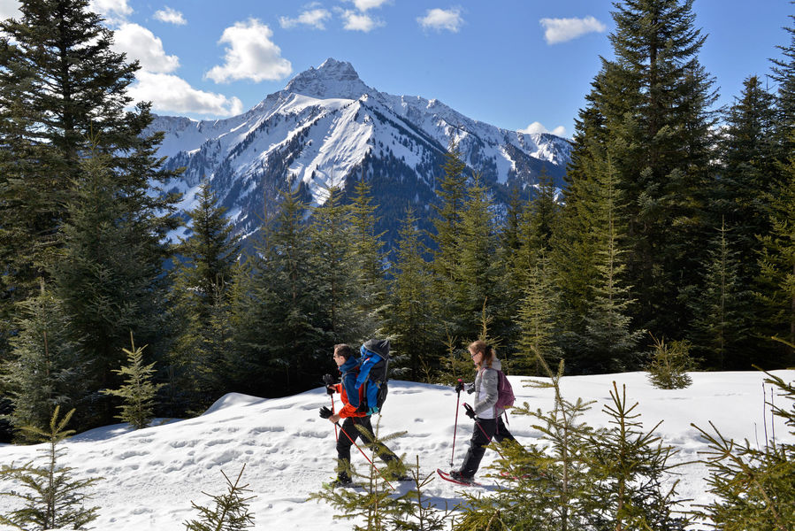 Sortie raquettes à neige