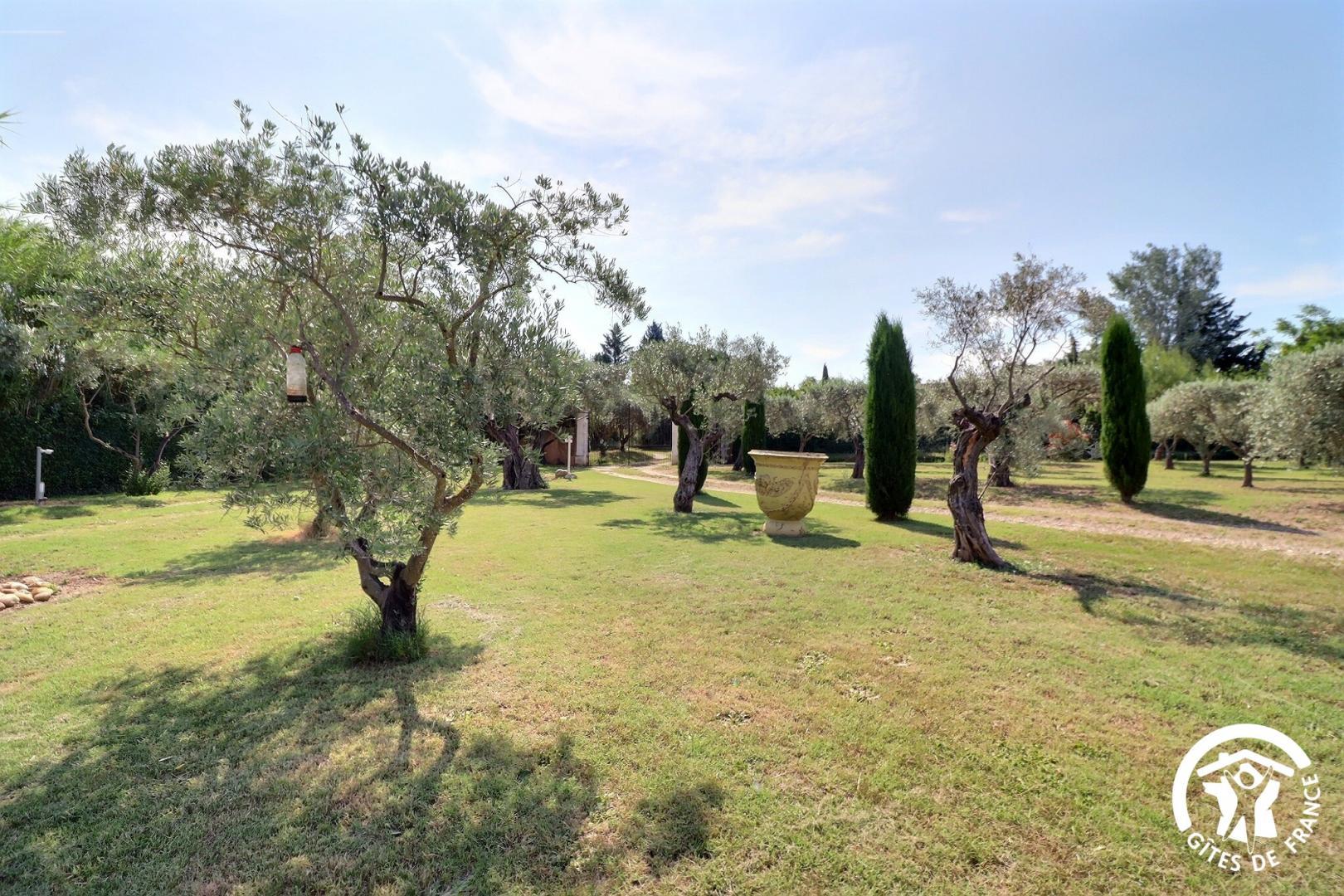 Le Tournesol, Saint-Rémy-de-Provence - photo 17