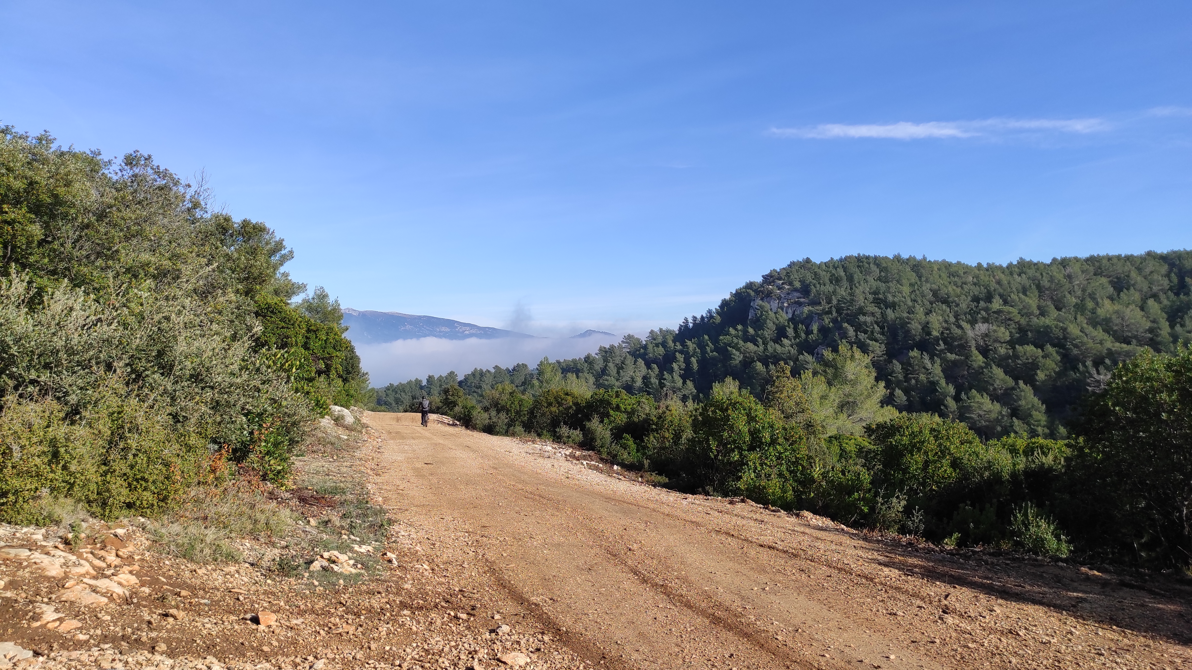 Forêt de Fontblanche, Ceyreste - photo 5