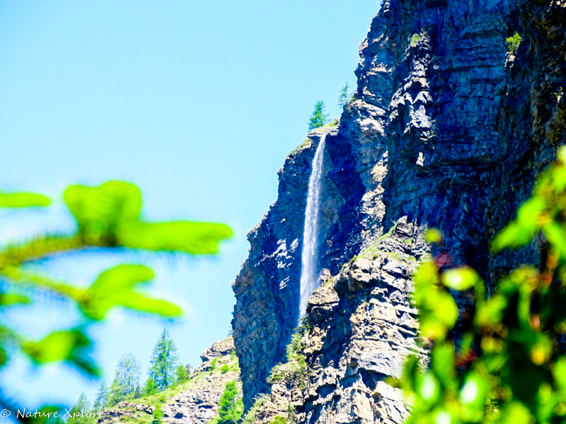 Nature Xplore CHÂTEAUROUX-LES-ALPES