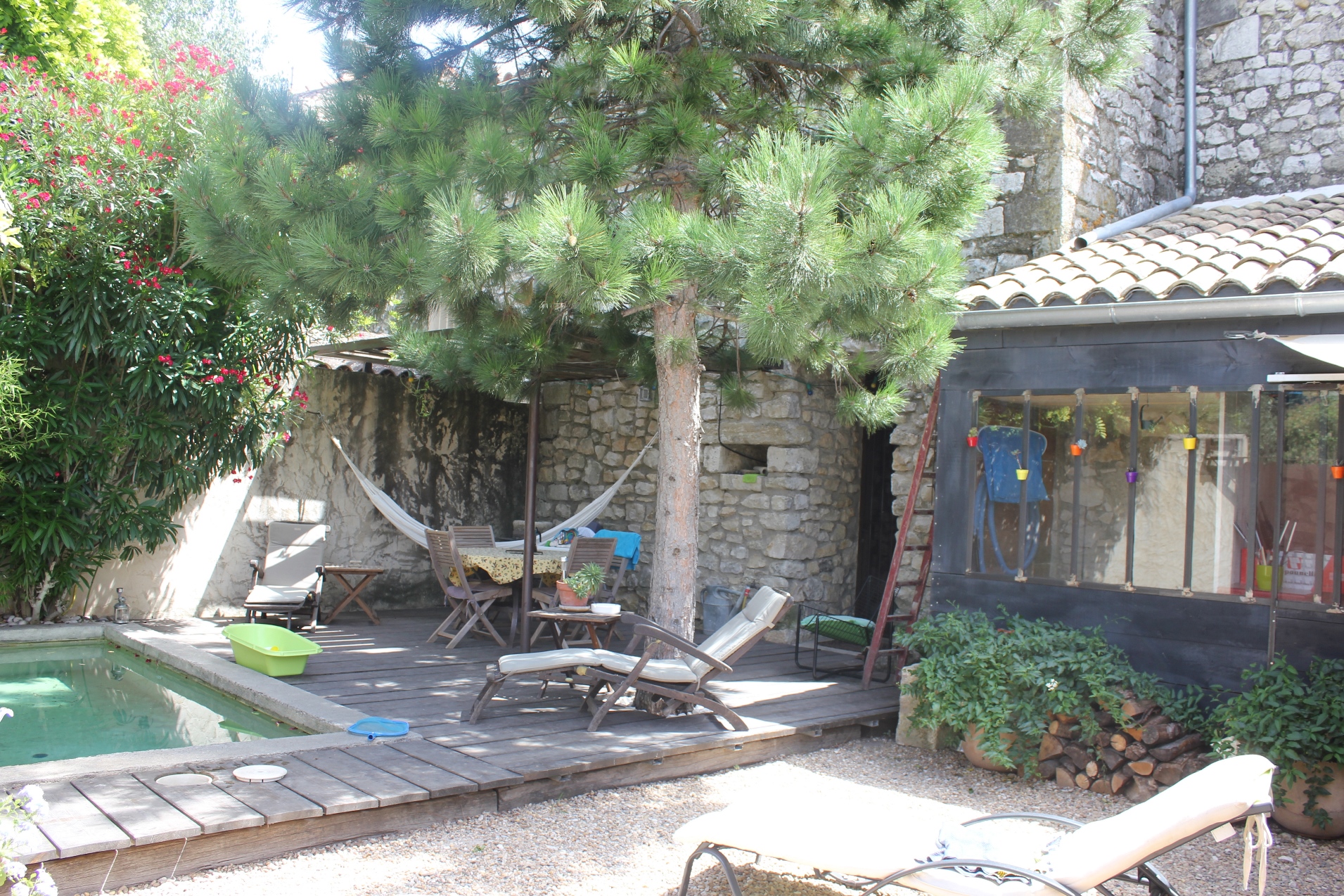 Laure de Noves - photo 2