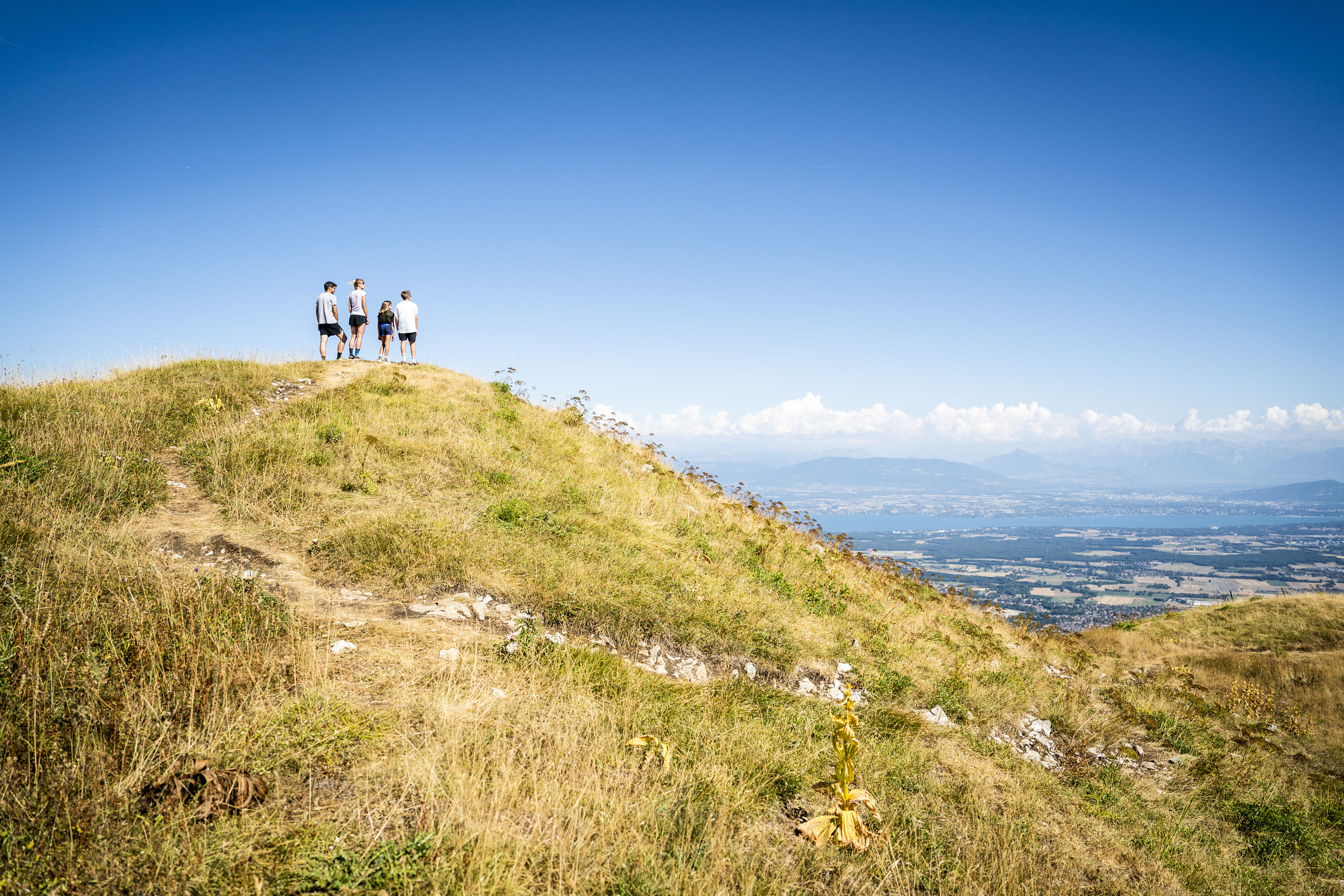 Montagne avec la vue panoramique