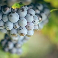 465323b2b792c5f09ba5