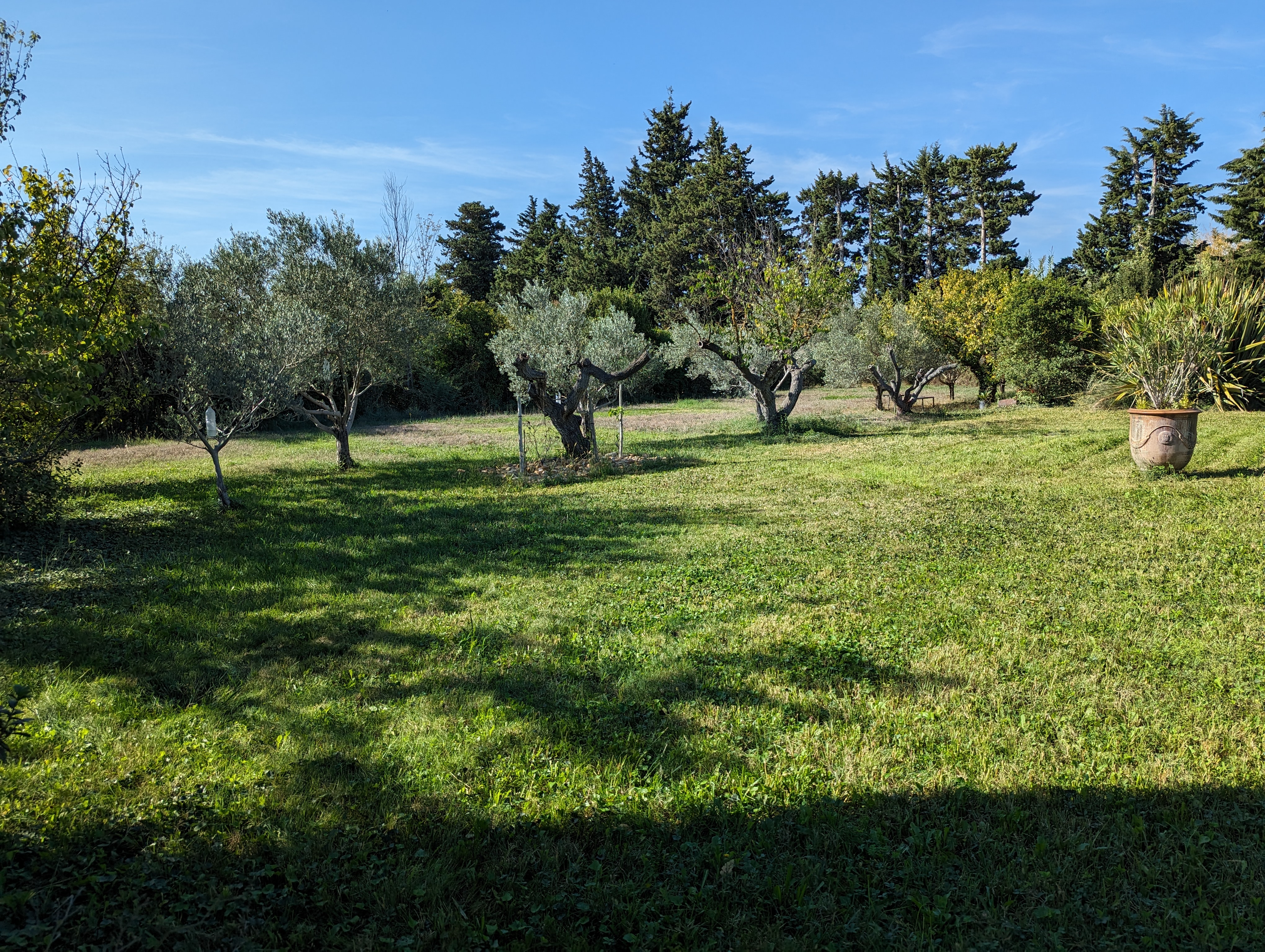 Maison de vacances, Graveson - photo 12