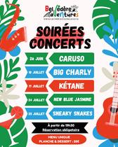 Soirée Concert - Belvédère Aventure_Commelle-Vernay