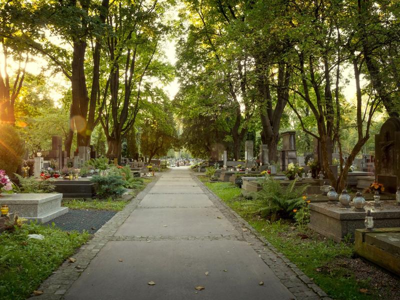 Visite commentée du cimetière de Chazelles organisée par PHIAAC_Chazelles-sur-Lyon