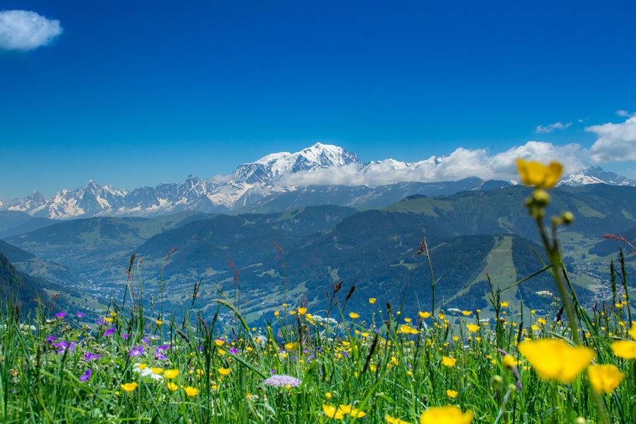 Les Avenières panorama