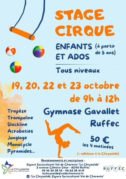 Stage de cirque
