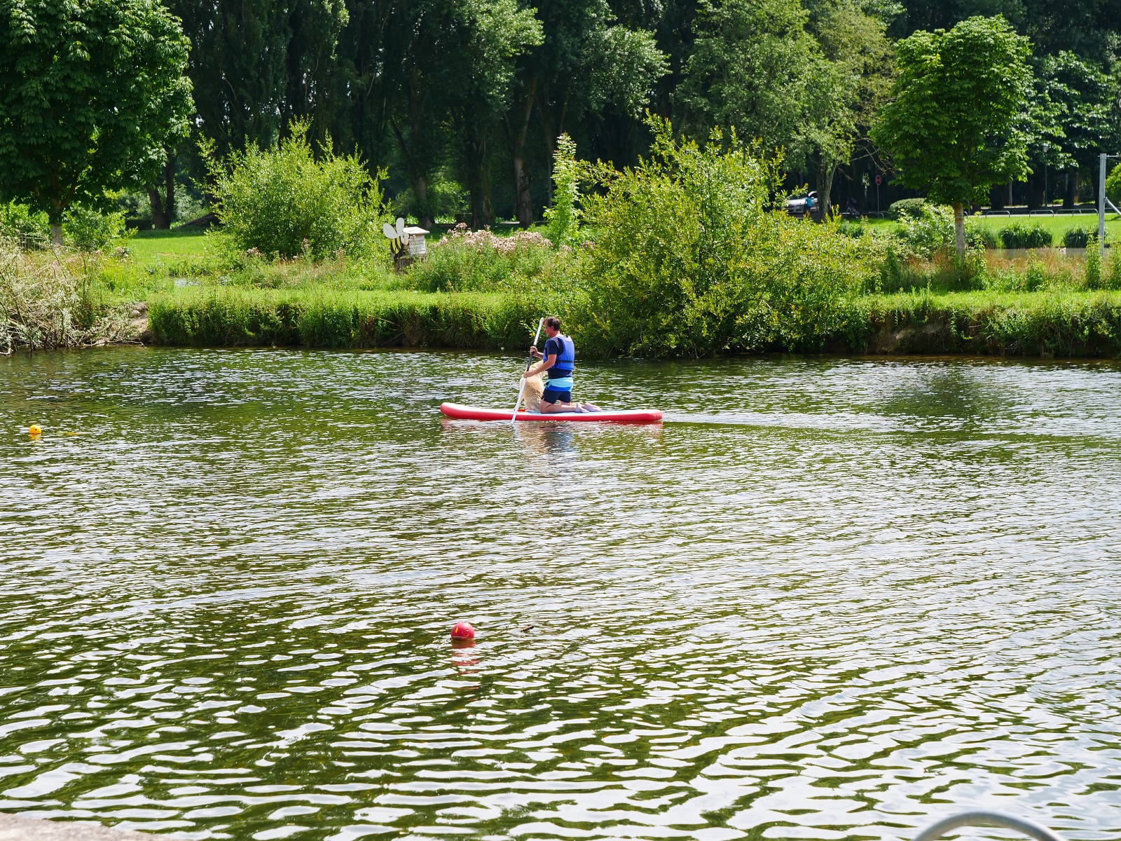 Course d' orientation - E.S.O Saint-Jean d'Angély - Circuit bleu