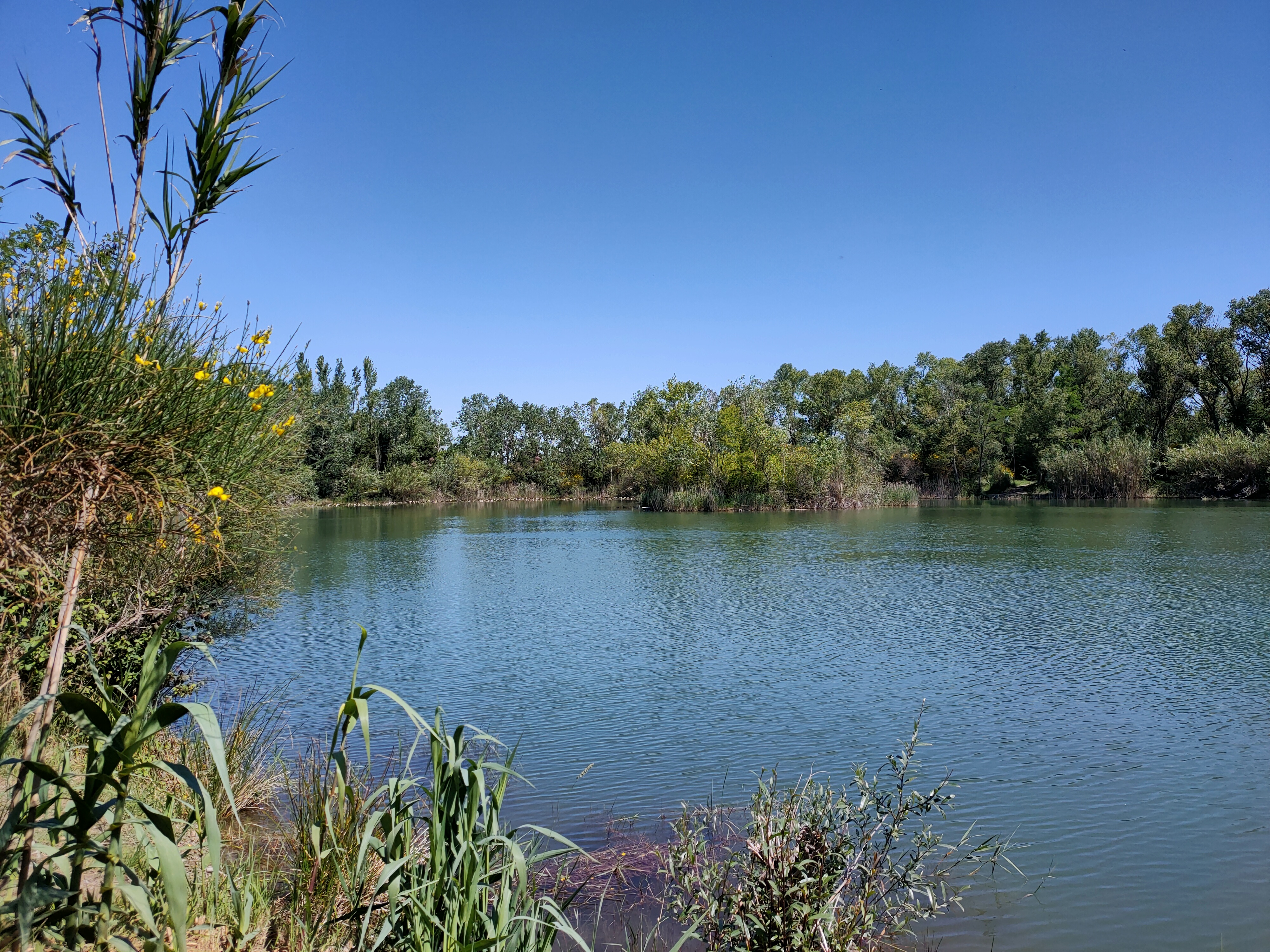 Noves au fil de l'eau - photo 4