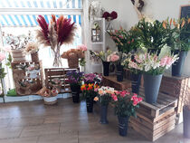 Clara Fleurs - Villeneuve-Loubet