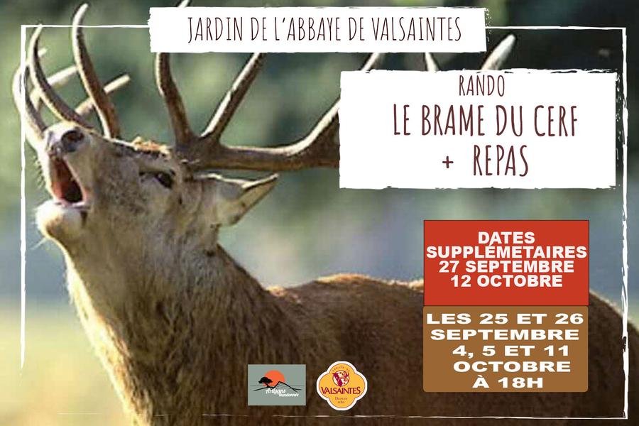 Randonnée Brame du cerf et repas à Valsaintes