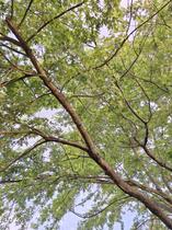 Festival Nature : Rev' En Nature_Reventin-Vaugris