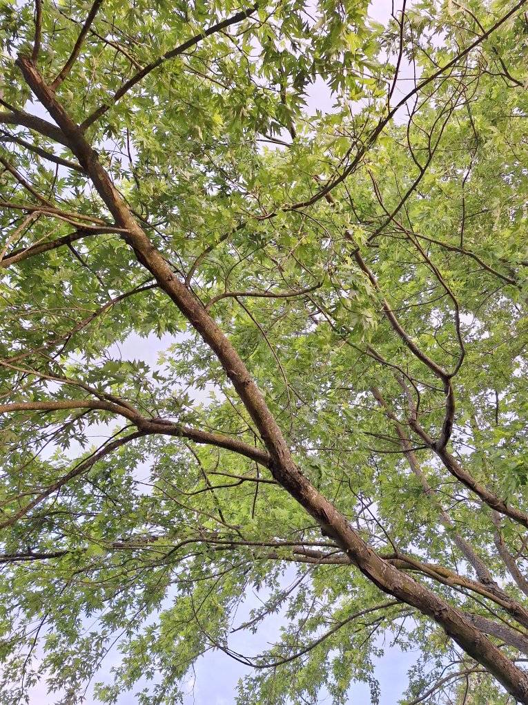 Festival Nature : Rev' En Nature_Reventin-Vaugris