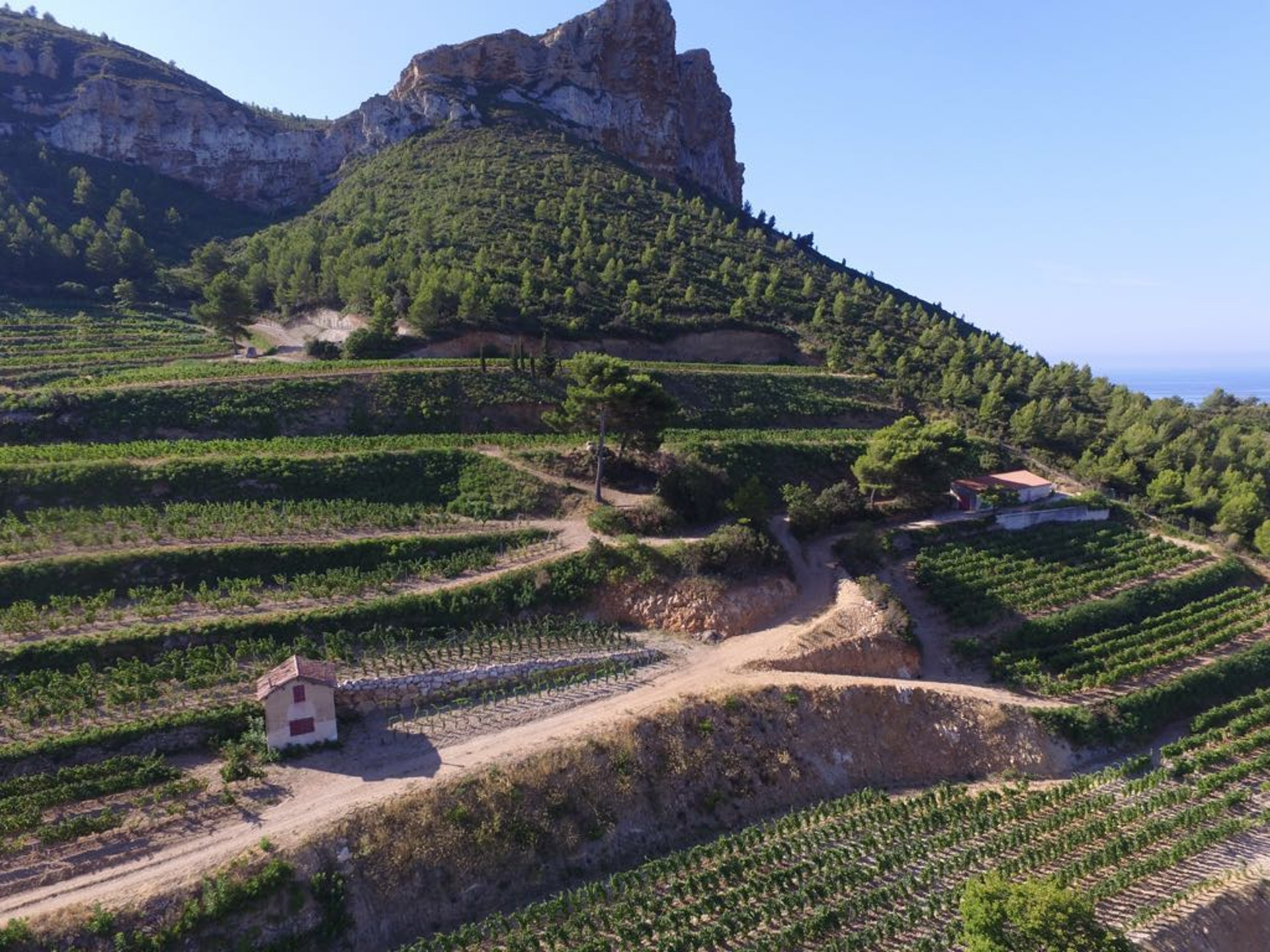 Clos Sainte Magdeleine — photo 2