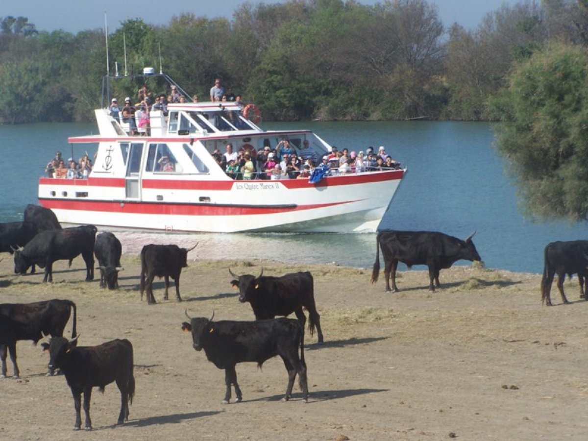 Bateau Les Quatre Maries