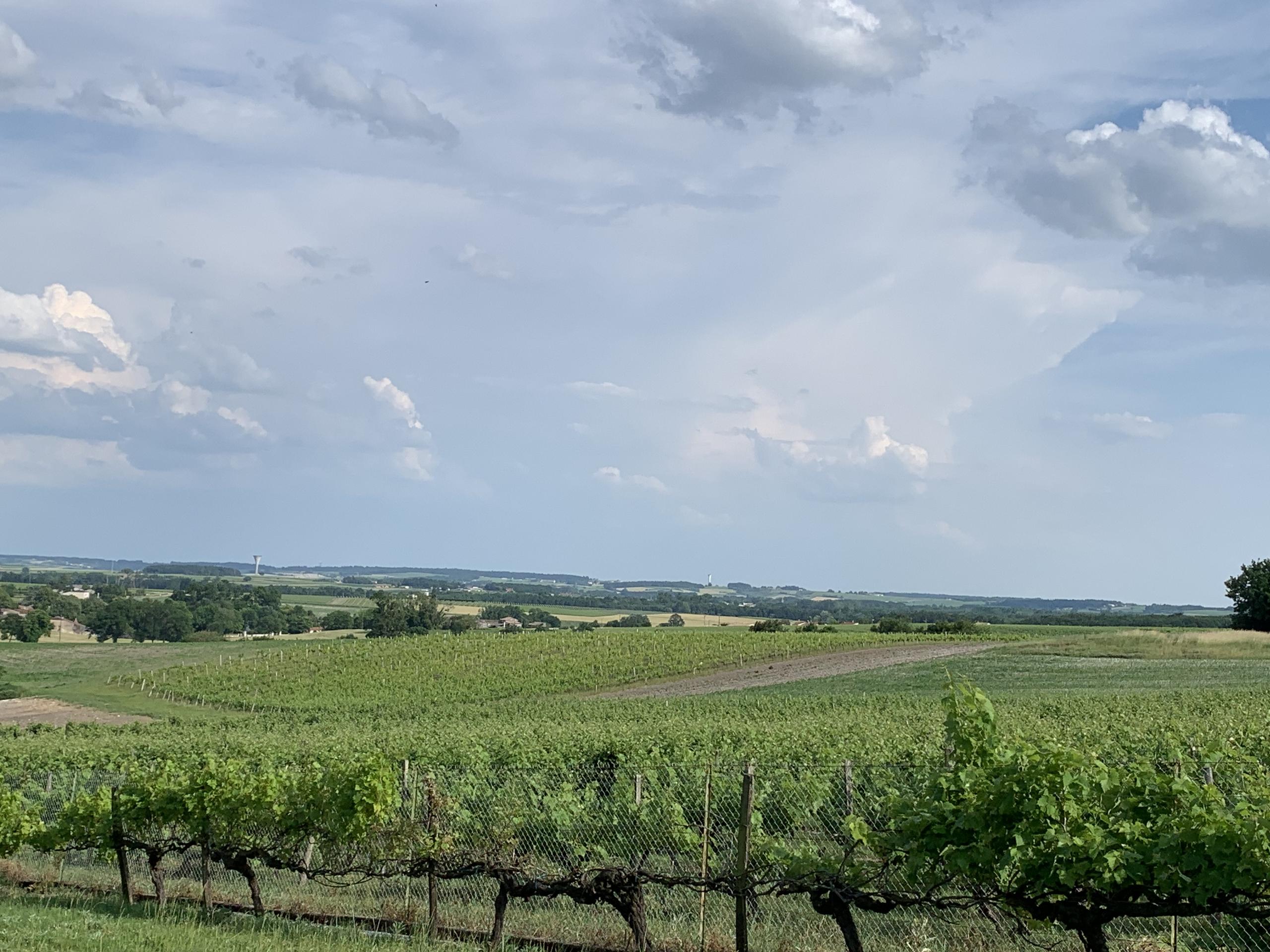 Visite et dégustation Domaine Privé