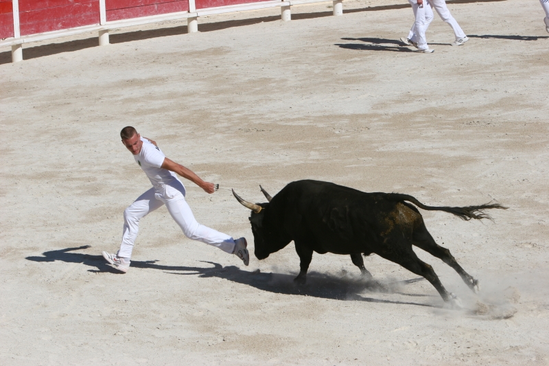 Course Camarguaise aux arènes (Impériaux – Trophée des As)
