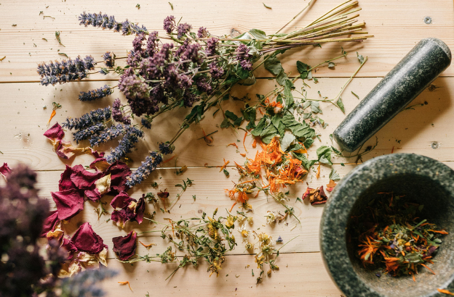 Au labo du château :  Pfizherbes_Sallanches