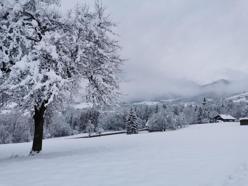 Espace ludique : Balade boule de neige 
