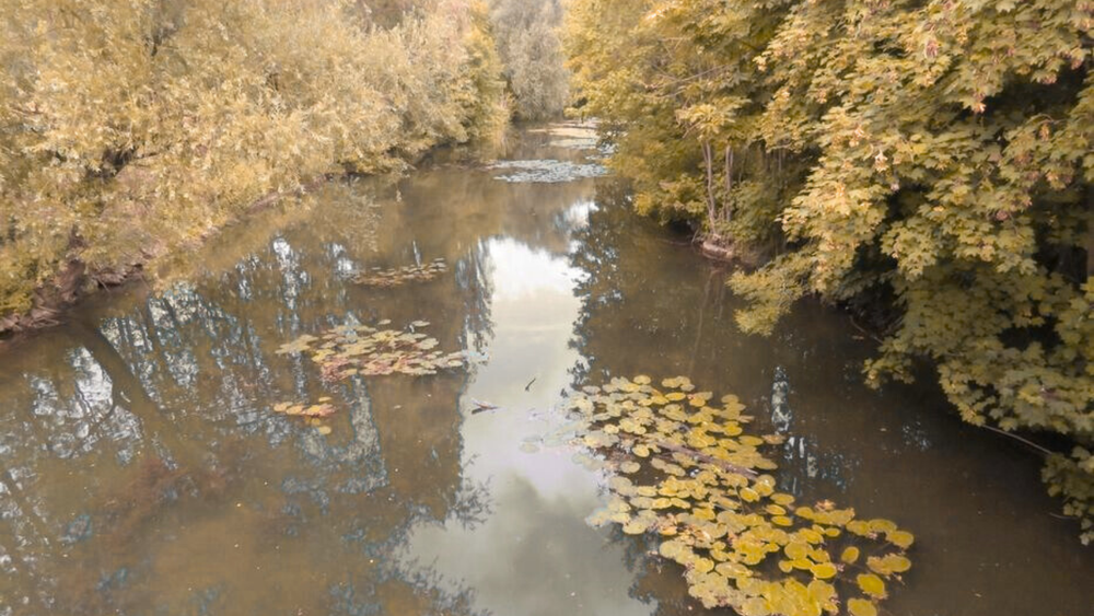 La rivière en automne