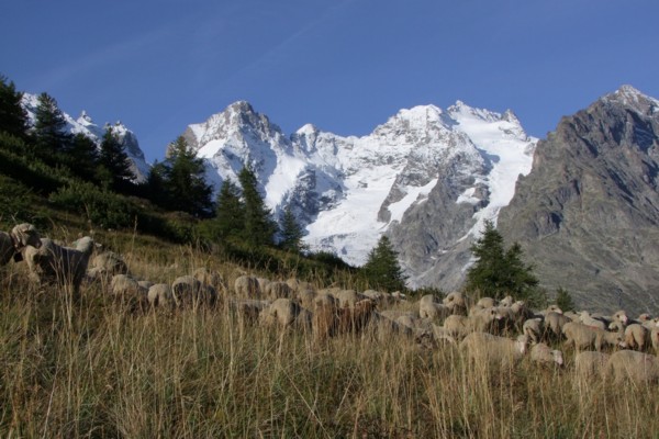 Bureau Montagne de l'Eyssina