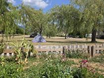 Camping Bourbon - La Palud-sur-Verdon - Photo 11