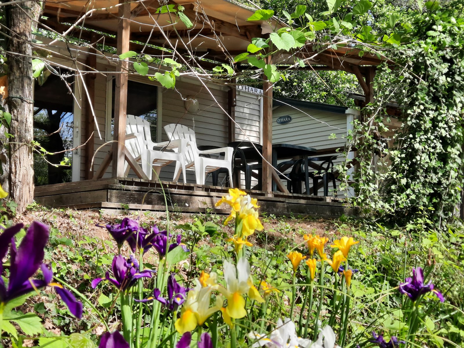 eb654cf63856ac26c2eb22e33e472187