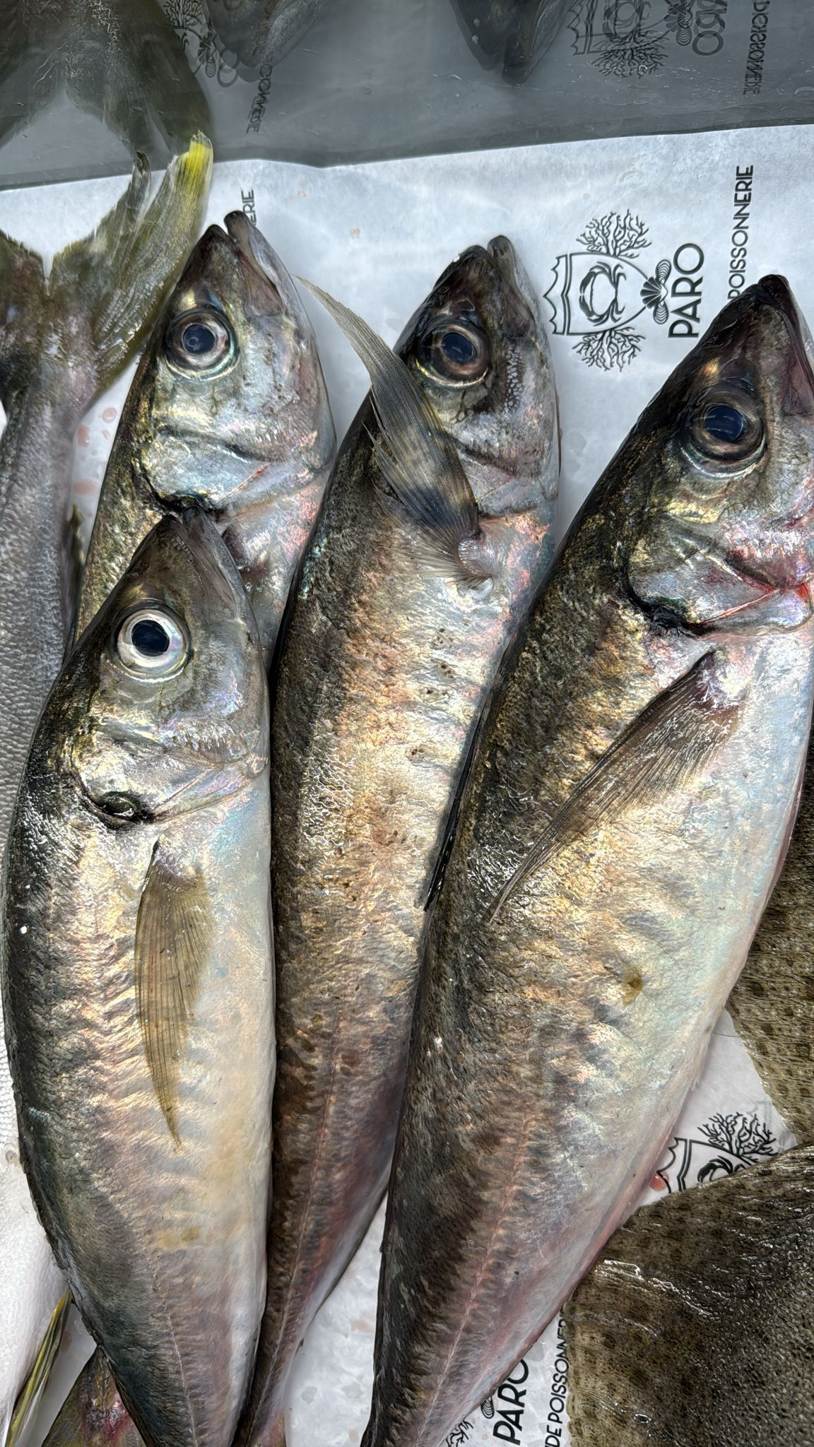 Azimut - Comptoir Méditerranéen, Aix-en-Provence - photo 18