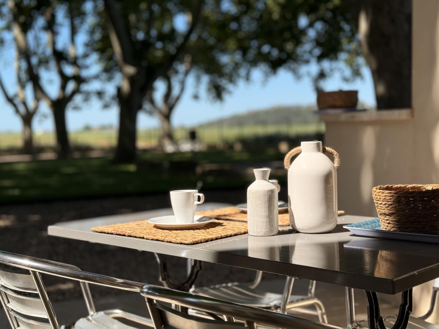 Gite L'Olivier, Fontvieille - photo 24