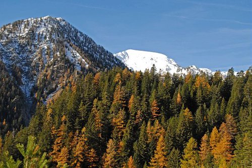 Les Adus et le mont Archas en automne, (2526 m). Couverture forestière en conifères au premier plan